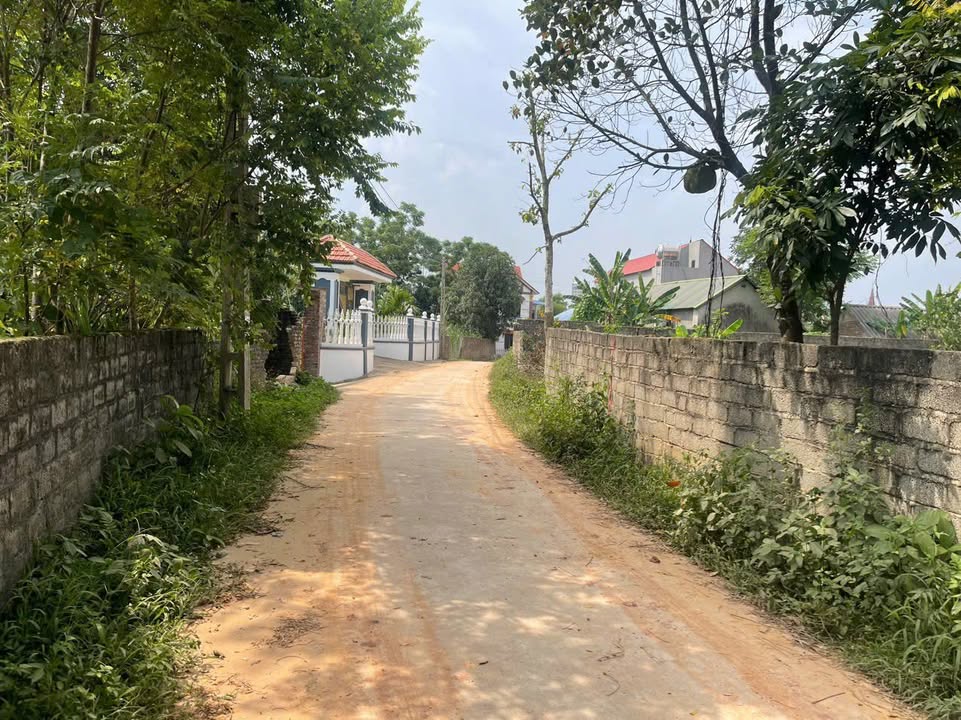 Đất nền Tân Khánh, Đại Từ 200m² giá chỉ 400 triệu - Cơ hội đầu tư sinh lời!