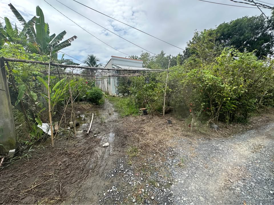 Đất nền Tân Phú Trung, Châu Thành, Đồng Tháp 150m² giá 240 triệu - Cơ hội đầu tư hấp dẫn!