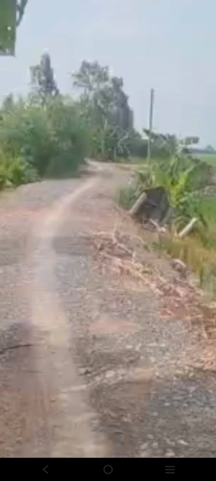 Đất nền 2,5 công tại Thanh Bình, Đồng Tháp - Giá chỉ 450 triệu, giảm 50 triệu!