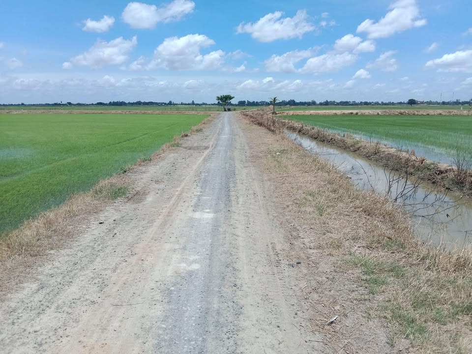 Đất ruộng 3 vụ tại xã Bình Phú, huyện Tân Hồng 72000m² - Giá chỉ 140 triệu/công!