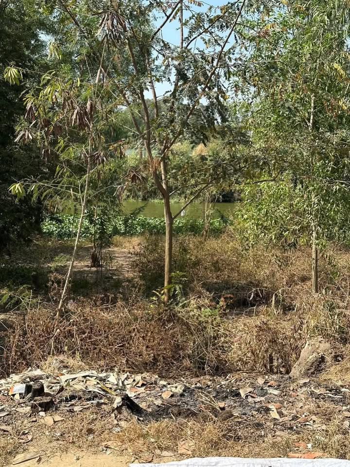 Đất nền Tân Thành B, Tân Hồng 94m² giá chỉ 445 triệu - Sổ đỏ chính chủ!