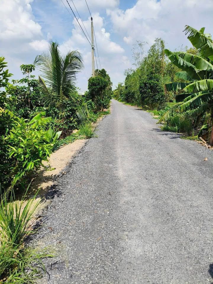 Đất nông nghiệp Bình Hàng Trung, Cao Lãnh 34 công giá 7.28 tỷ - Chính chủ bán gấp!