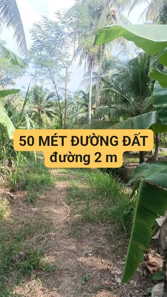 Đất vườn dừa Lương Hòa 3360m² giá 2.35 tỷ - Cơ hội đầu tư tuyệt vời!