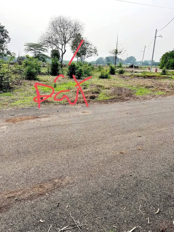 Đất nền Châu Pha - Bà Rịa Vũng Tàu 319m² giá 1.79 tỷ - Thích hợp xây nhà ở, nhà trọ cho công nhân thuê