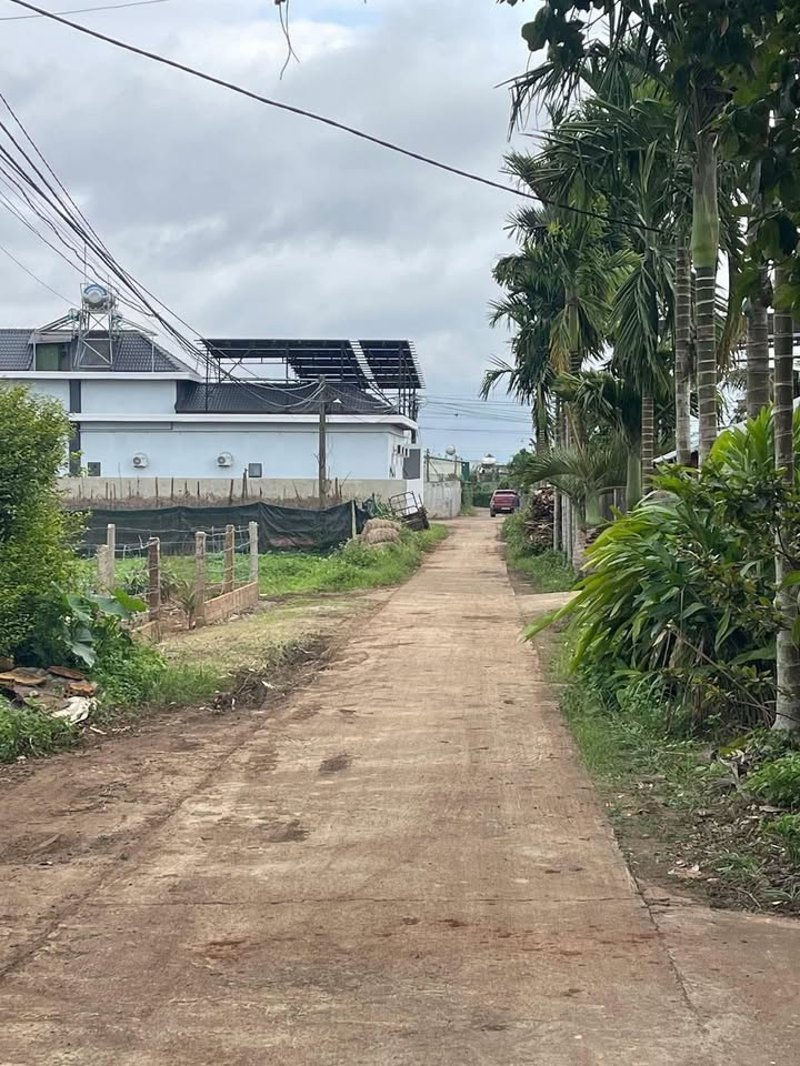 Đất nền Ea Phê, Krông Pắc 264m² giá 720 triệu - View cánh đồng mát mẻ!