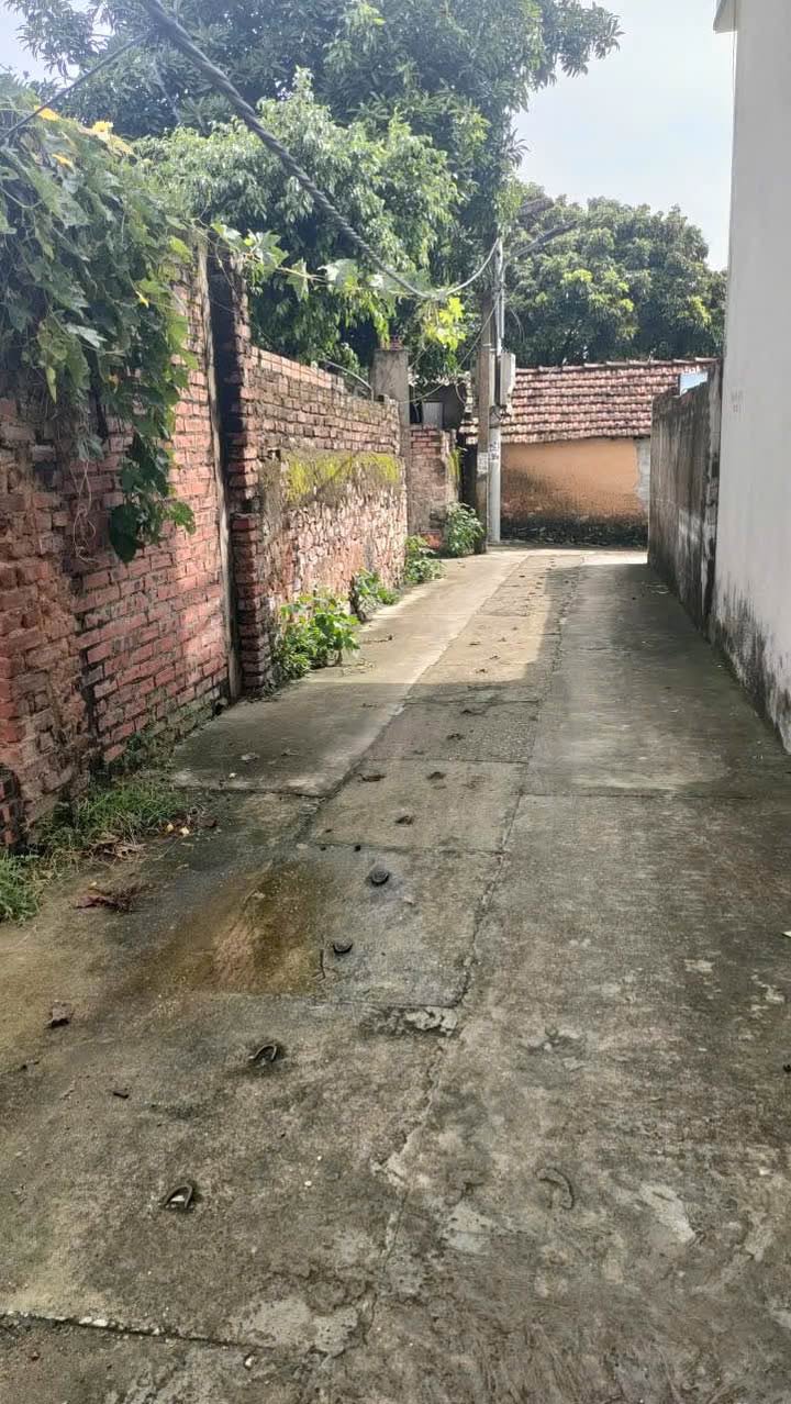 Đất thổ cư Hạp Lĩnh, Bắc Ninh 47m² giá 1.4 tỷ - Mặt tiền rộng, ô tô vào tận nơi!