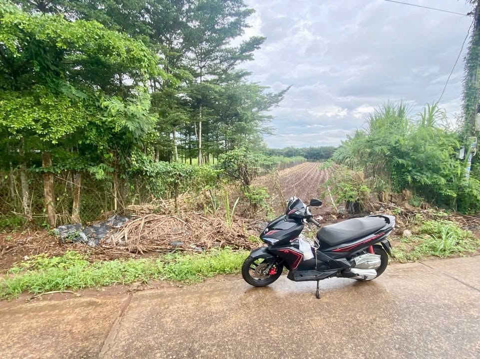 Đất 2 mặt tiền Đường 29 Nghĩa Thành 960m² giá 3 tỷ - Tiềm năng đầu tư lớn!