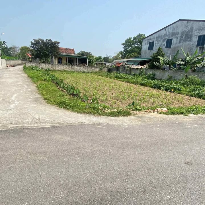 Lô đất 161.7m² tại xã Xuân Thành, giá 1.8 tỷ - Đầu tư sinh lời nhanh chóng!