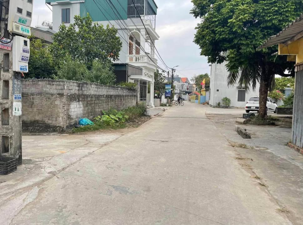 Đất nền Phố Liễu Tràng, Tân Hưng 80m² giá 1.95 tỷ - Cơ hội đầu tư tuyệt vời!