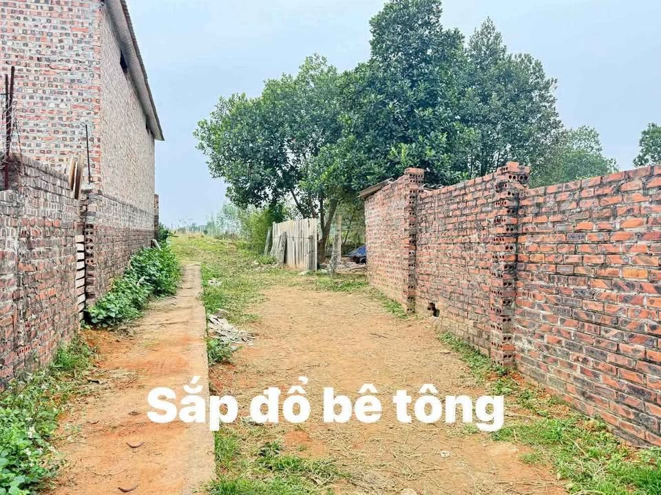 Lô đất tại Sơn Tây 1200m² giá 2.4 tỷ - Tiềm năng nghỉ dưỡng lý tưởng!