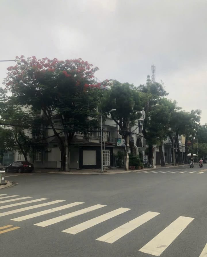 Bán nhà mặt tiền Tân Quy Đông 120m² giá 46 tỷ - Vị trí đắc địa, lề rộng