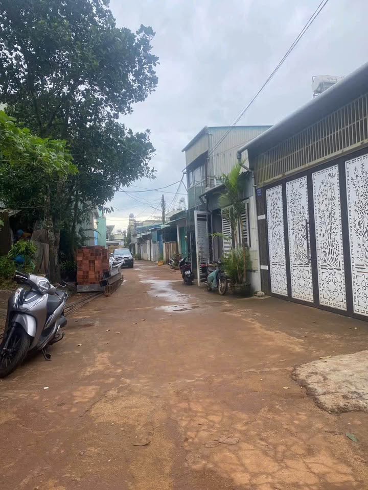 Đất nền hẻm 29 Tuệ Tĩnh, phường Diên Hồng, 190m² - Gần nhiều tiện ích, giá chỉ 1.2 tỷ!