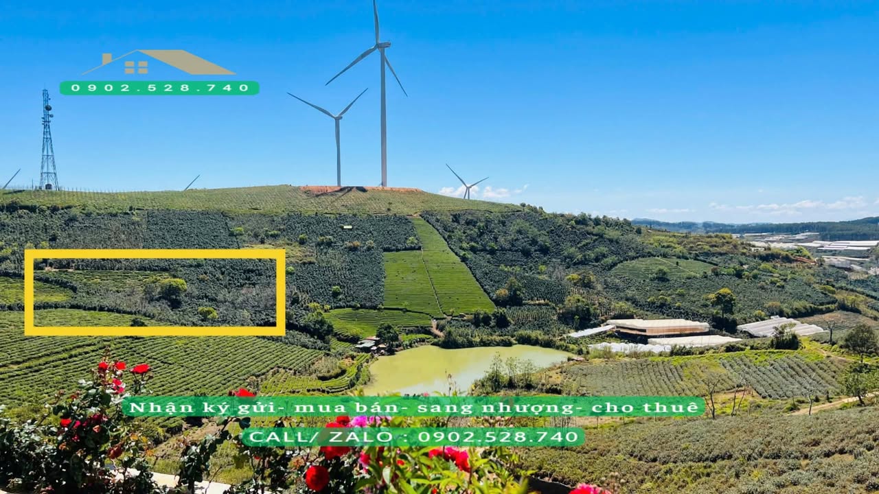 Đất nông nghiệp 1500m² tại Đồi Chè Cầu Đất Đà Lạt giá 4.5 tỷ - View đẹp ngắm cảnh!