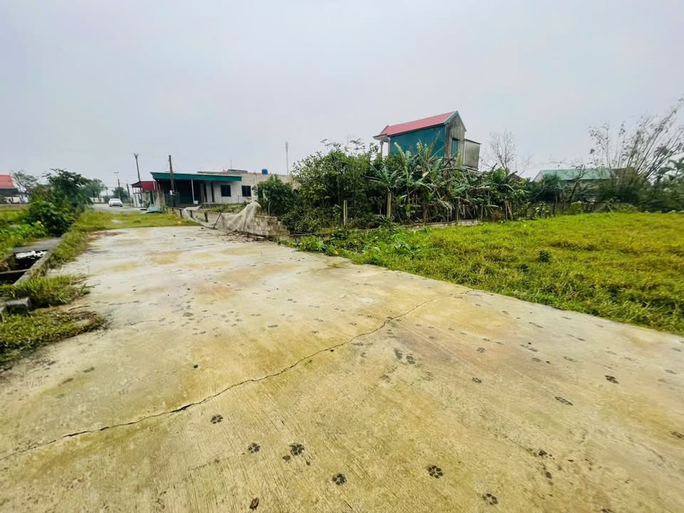 Đất Thạch Thắng 186m² giá chỉ 1.4 tỷ - Đầu tư sinh lời ngay!