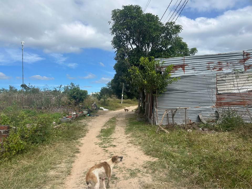 Đất nền Hẻm 168 đường Duy Tân, phường Trường Chinh 165m² - Giá cắt lỗ chỉ 600 triệu!