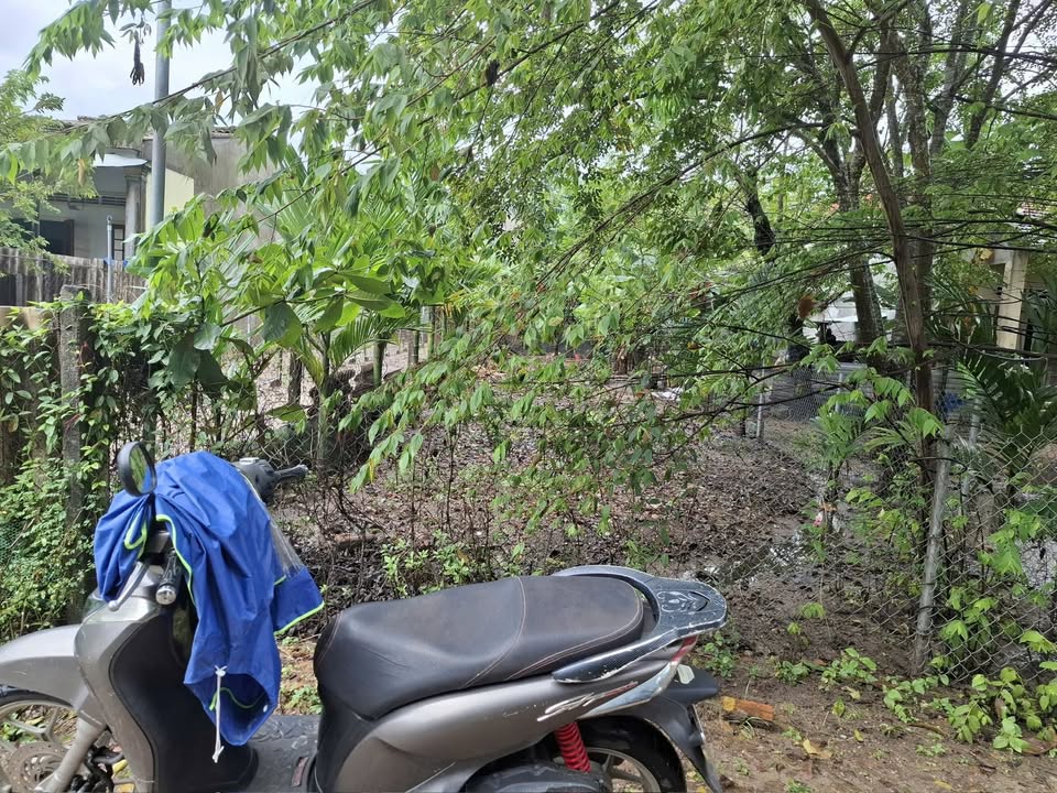 Đất nền Nghĩa Chánh, Quảng Ngãi 150m² giá 800 triệu - Cơ hội đầu tư lý tưởng!