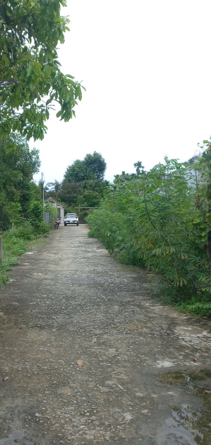 Đất thổ cư Hành Thuận, Nghĩa Hành 150m² giá chỉ 400 triệu - Cơ hội đầu tư tuyệt vời!