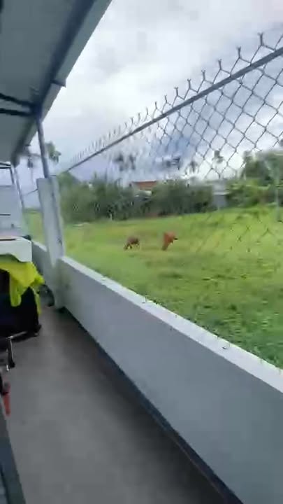 Nhà riêng Thị Trấn Nam Phước 119m² giá 1.97 tỷ - Sổ hồng chính chủ