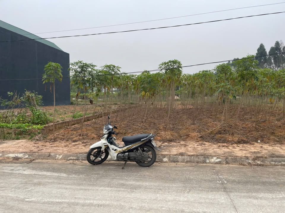 Đất nền đẹp Thanh Đình Việt Trì 300m² giá 2 tỷ - Phù hợp xây biệt thự mini!