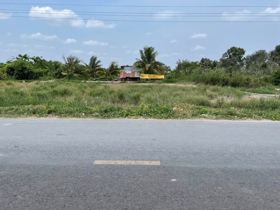 Đất lúa 2000m² tại Hưng Phú, Cần Thơ - Giá chỉ 5 tỷ, đầu tư sinh lời!