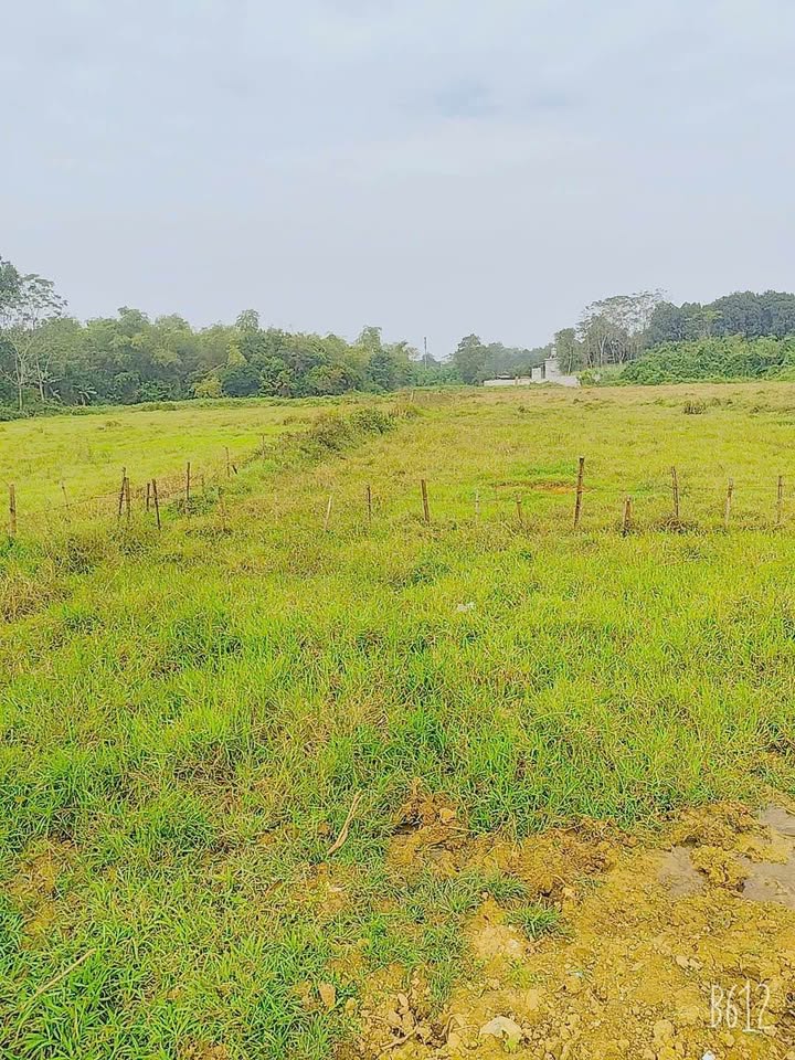 Đất nền Thanh Lương 748.8m² giá 2.8 tỷ - Sở hữu ngay vị trí đắc địa!