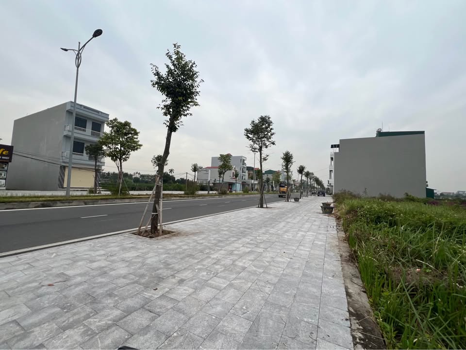 Đất mặt đường Lương Như Học, Tân Hưng, 200m² giá 5 tỷ - Cơ hội đầu tư tuyệt vời!