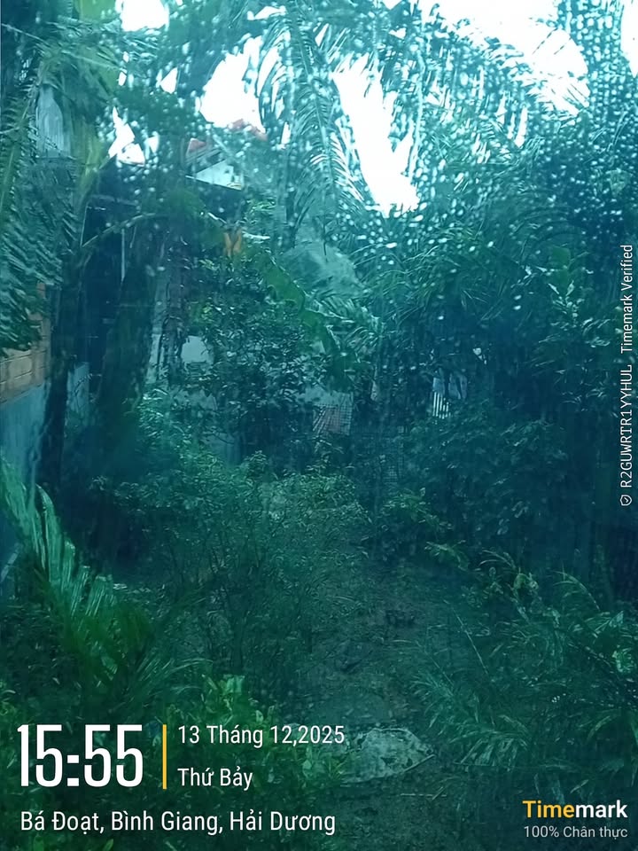 Bán gấp 2 lô đất liền kề tại Long Xuyên, Bình Giang - Chỉ 800 triệu!