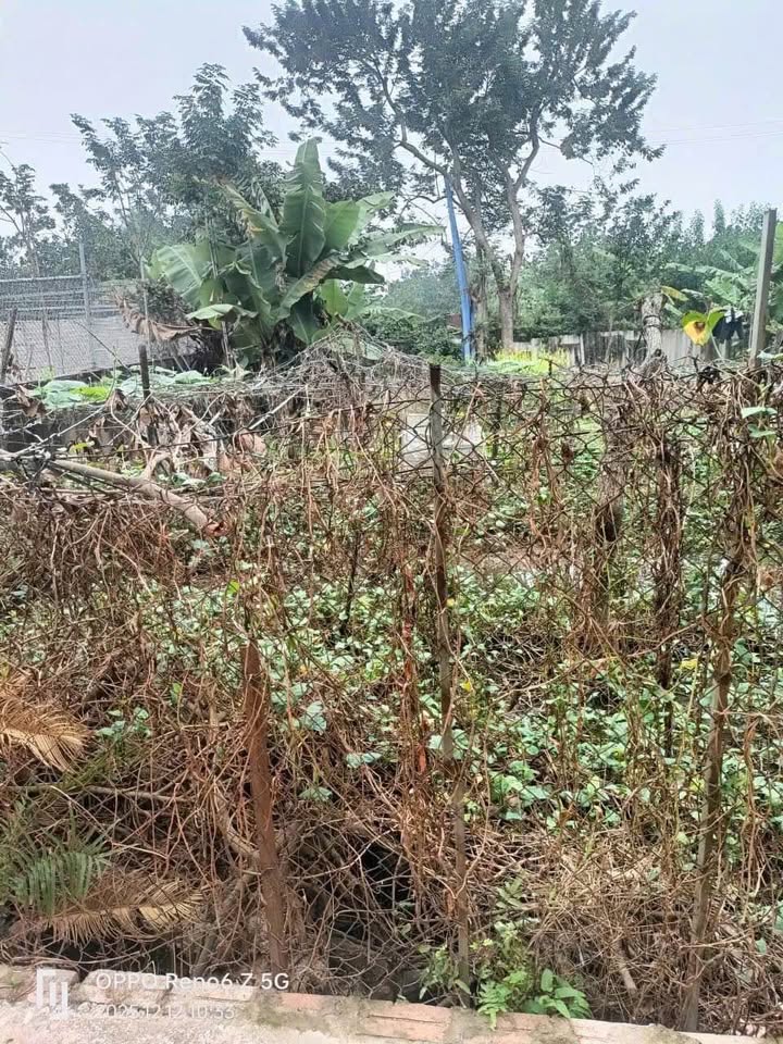 Đất nền Vạn Phúc 40m² giá 3.1 tỷ - Sổ đỏ chính chủ, đầu tư sinh lời!