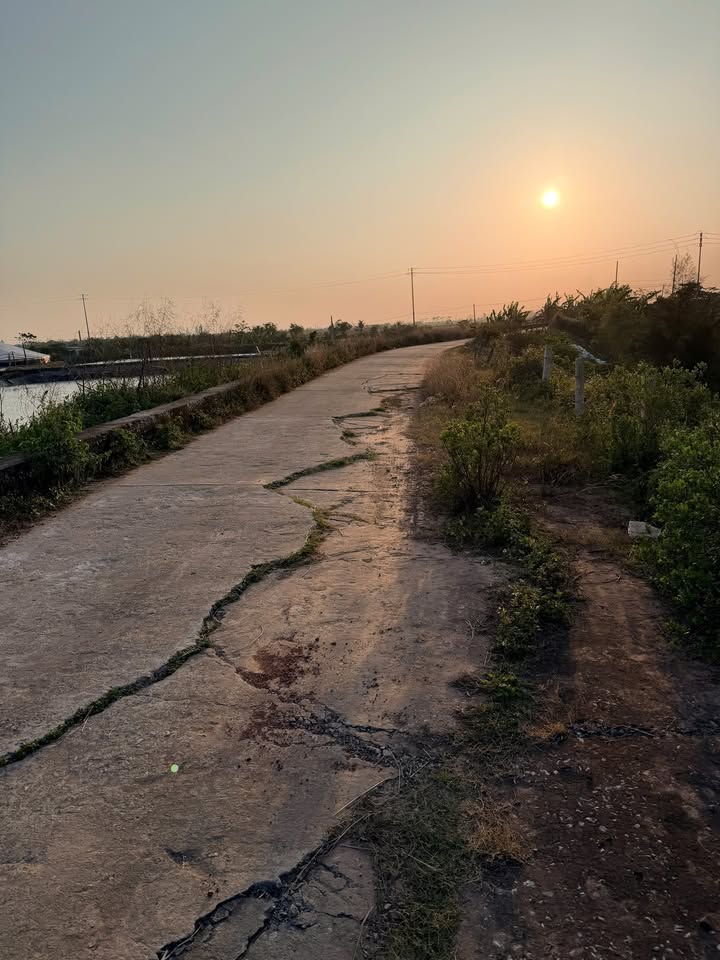 Lô đất Nghĩa Bình, Nghĩa Hưng 355m² giá 1.3 tỷ - Đầu tư sinh lời ngay!