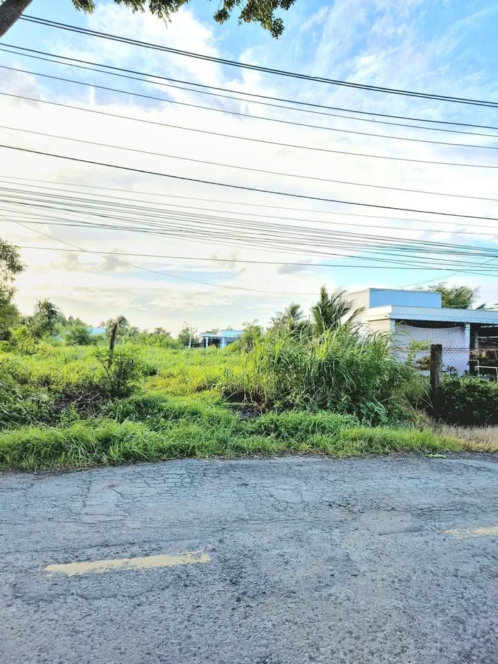 Đất nền Gò Công Tiền Giang 406m² giá 1.5 tỷ - Nền cao ráo, sổ hồng chính chủ!