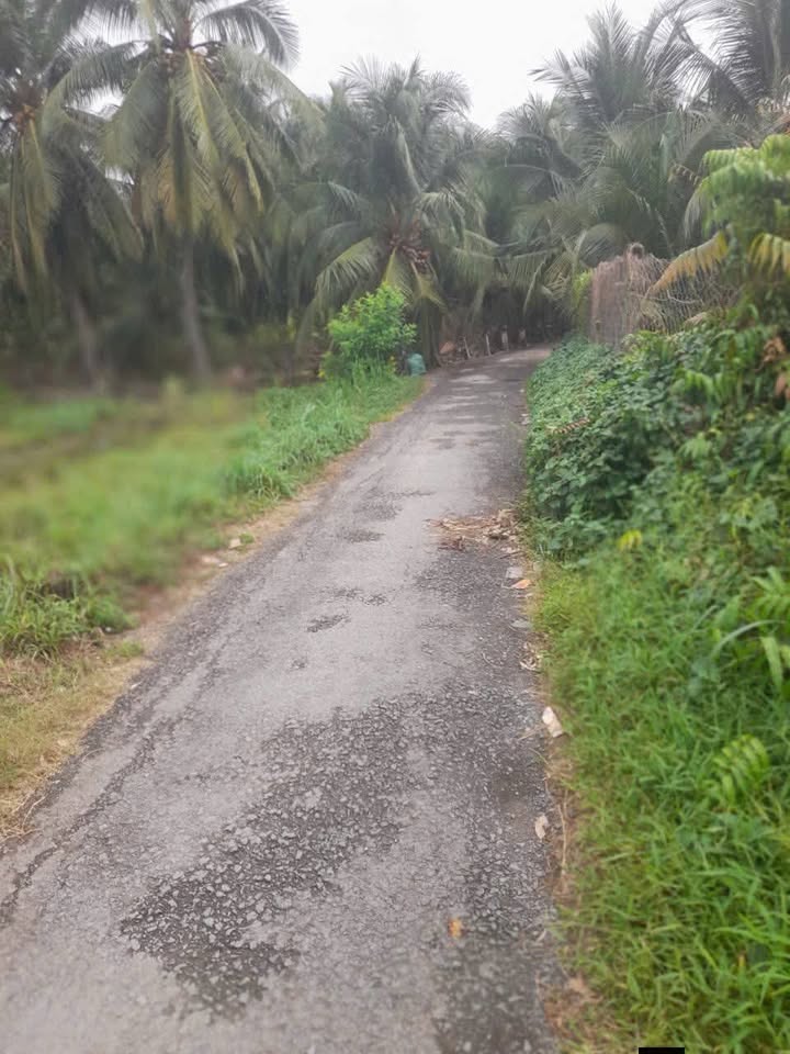 Đất nền Thân Cửu Nghĩa Châu Thành 965m² giá 1.5 tỷ - Bán gấp chính chủ!