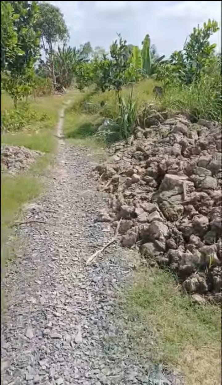 Đất trồng sầu riêng 6782m², Hậu Mỹ Bắc A, Cái Bè - Giá chỉ 2.373 tỷ!