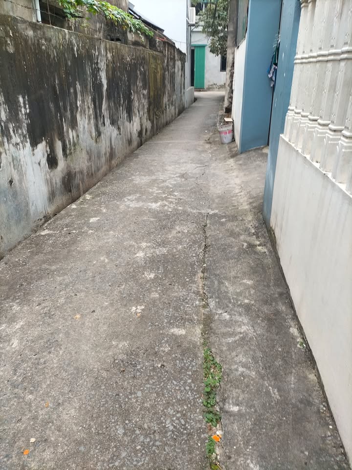 Nhà 1 tầng Phường Ninh Sơn, Ninh Bình 110m² giá 2 tỷ - Đầu tư sinh lời ngay!