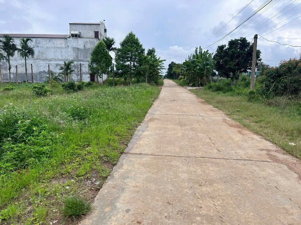 Lô đất 140m² tại Cư Ni, Ea Kar - Giá chỉ 280 triệu, cơ hội sở hữu ngay!