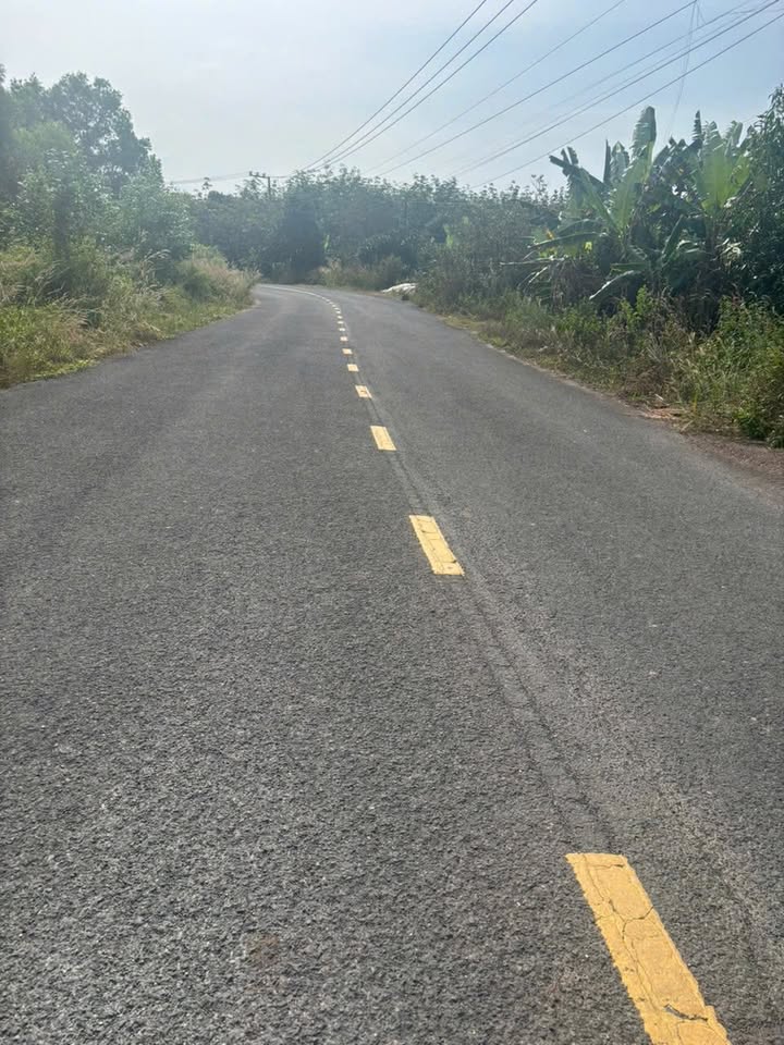 Đất mặt tiền đường DH619 Long Nguyên 420m² giá chỉ 900 triệu - Cơ hội đầu tư hiếm có!