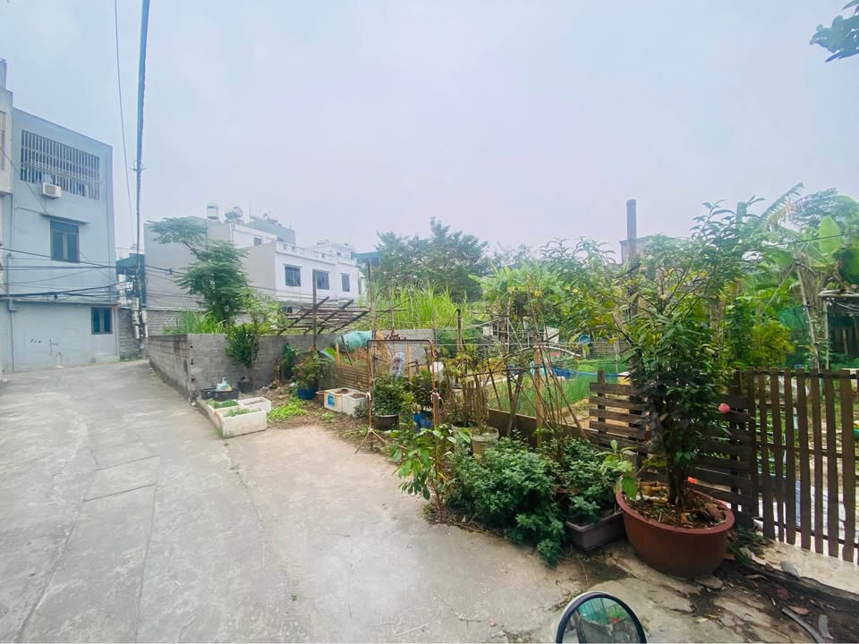 Đất nền 46m² Trần Hưng Đạo, TP Thái Bình giá 1 tỷ - Đầu tư sinh lời hấp dẫn!