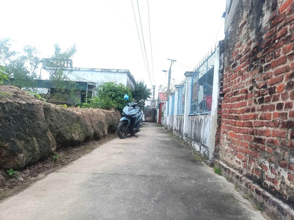 Đất thổ cư Thôn Trung Kiên - Nam Bình - Kiến Xương 100m² giá 200 triệu - Đầu tư sinh lời tuyệt vời!