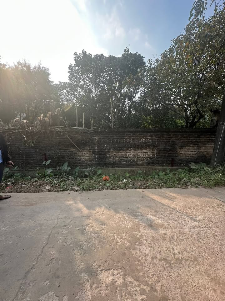 Đất nền Ngọc Châu, Tân Yên, Bắc Giang 135m² giá 1 tỷ - Cơ hội đầu tư tuyệt vời!