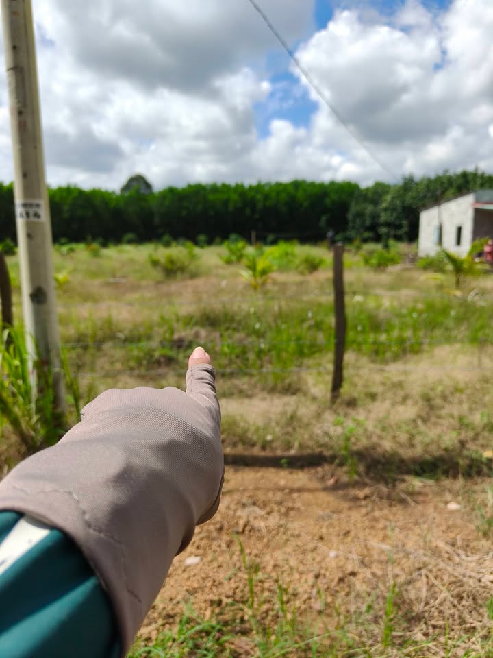 Đất nền Lộc Phú Lộc Ninh 1000m² giá thỏa thuận - Sổ đỏ trao tay ngay!