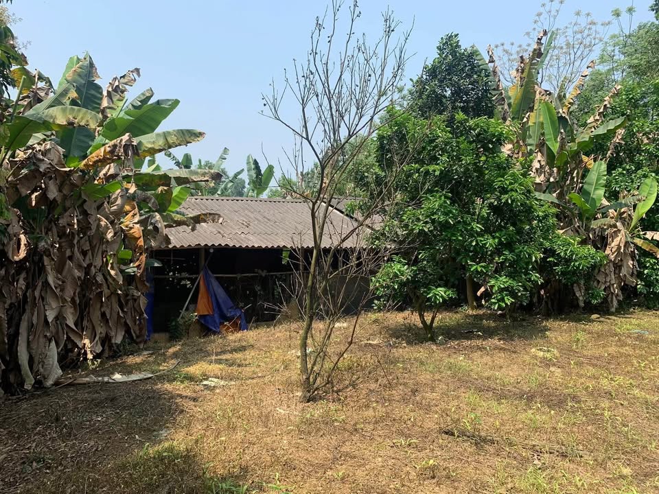 Đất trang trại Tiên Hội, Đại Từ, Thái Nguyên 7000m² - Cơ hội đầu tư lý tưởng!