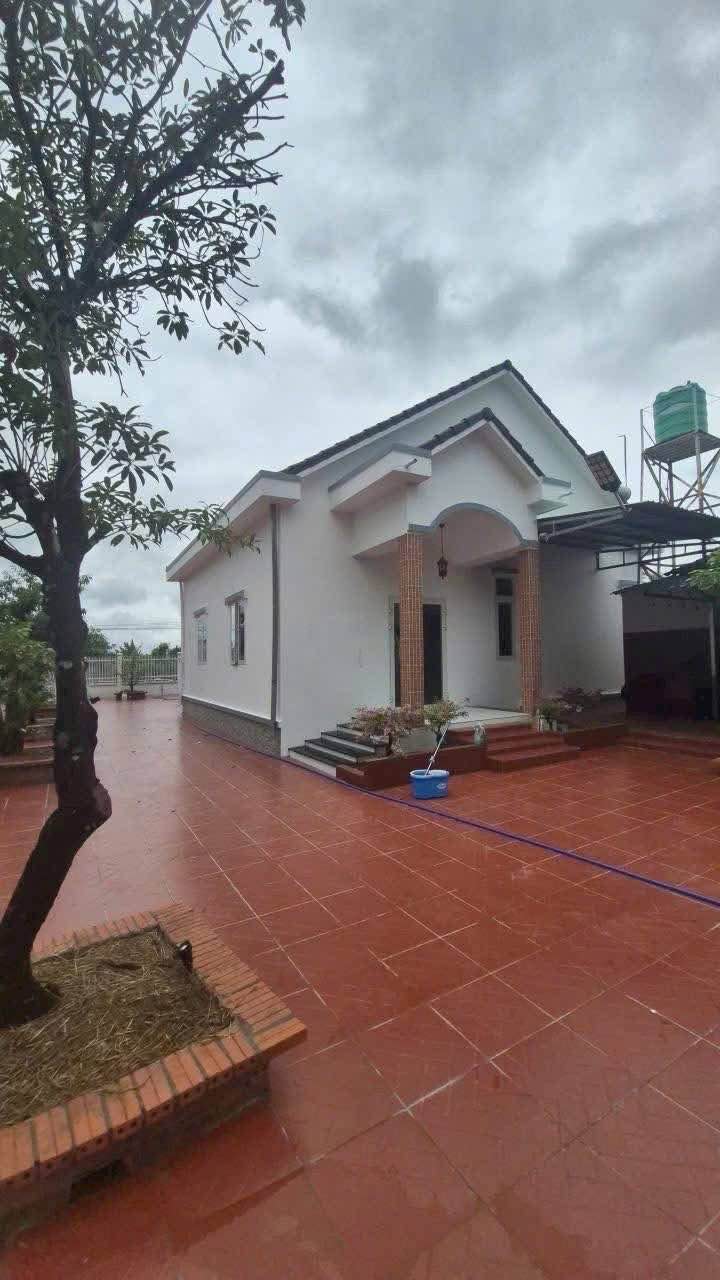 Nhà vườn 1600m² xã Phước Tân Hưng giá 3.5 tỷ - Không gian nghỉ dưỡng lý tưởng!