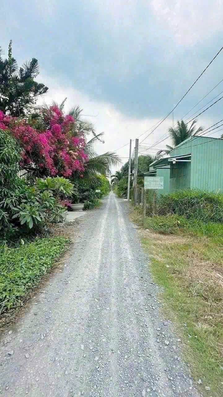 Đất thổ cư hẻm 244 Nguyễn Thông, Tân An 251.25m² giá 2.2 tỷ - Sổ đỏ chính chủ!