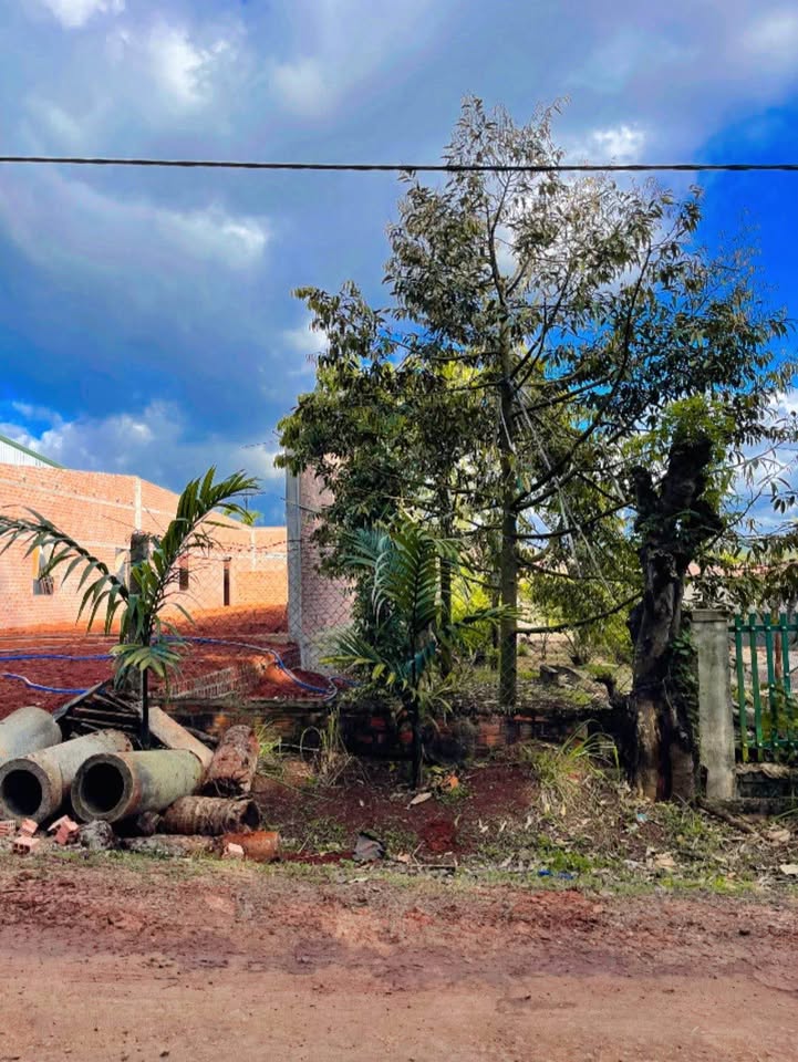 Đất nền gần Chợ Ea Hiao, 192m² giá 1.68 tỷ - Đầu tư sinh lời tuyệt vời!