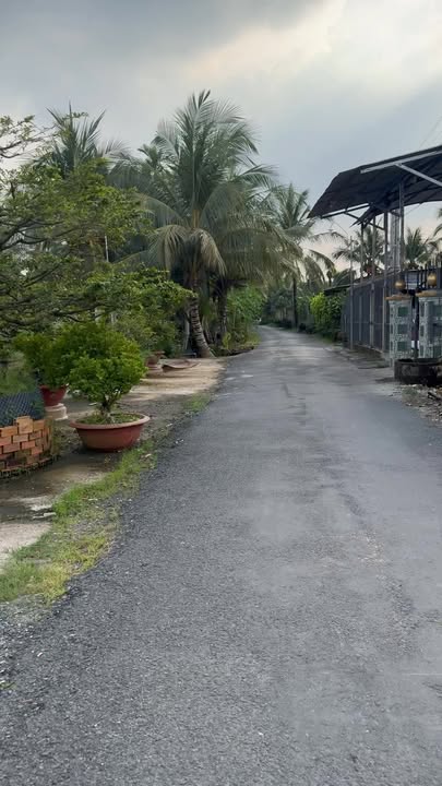 Đất mặt tiền đường nhựa xã An Cư, Cái Bè 3680m² giá 4.8 tỷ - Đầu tư sinh lời!