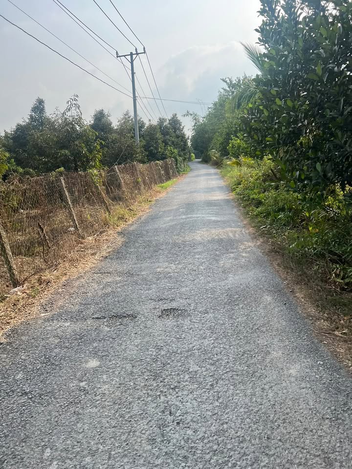 Đất thổ cư Mỹ Thành Nam Cai Lậy 250m² giá 780 triệu - Pháp lý rõ ràng, đầu tư sinh lời