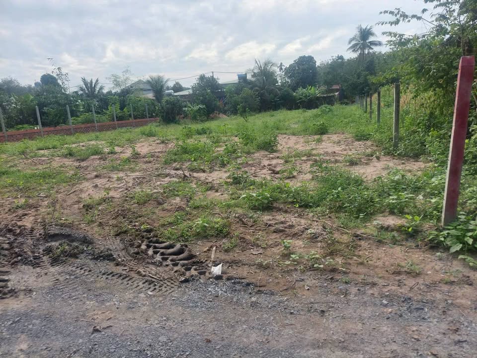 Đất nền An Nhơn Tây Củ Chi 1000m² giá 3.8 tỷ - Cơ hội đầu tư hấp dẫn!