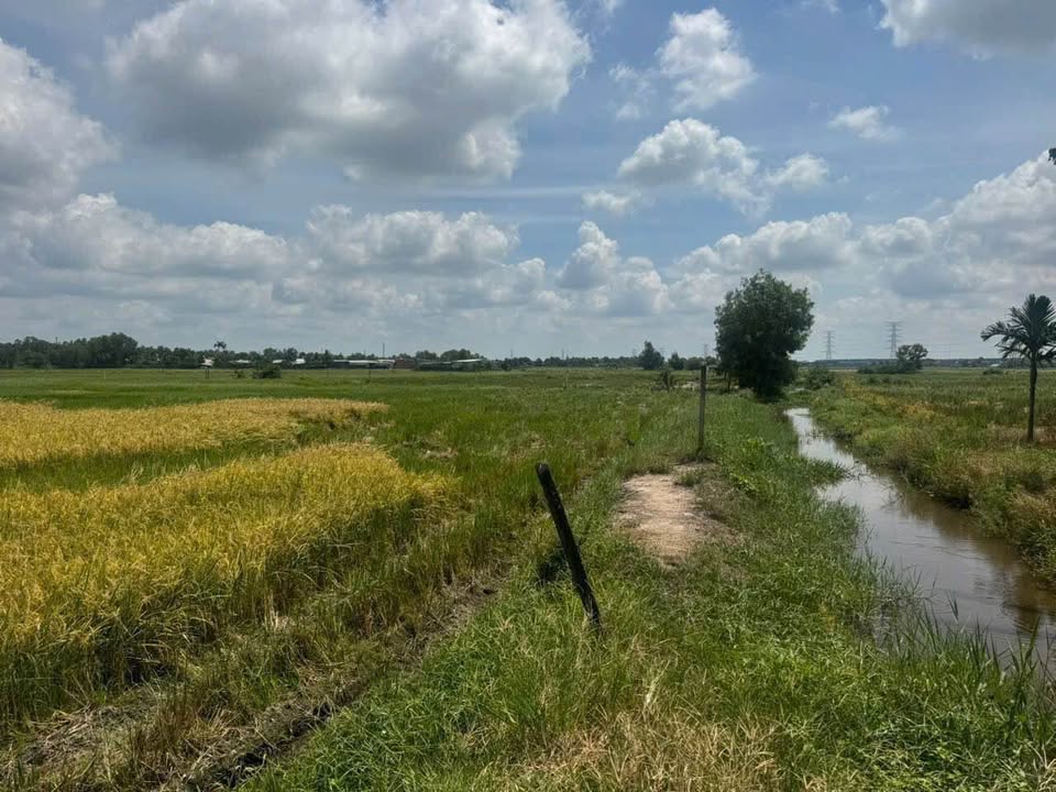 Đất vườn Tân Phú Trung 695m² giá 1.12 tỷ - Tiềm năng đầu tư cao!