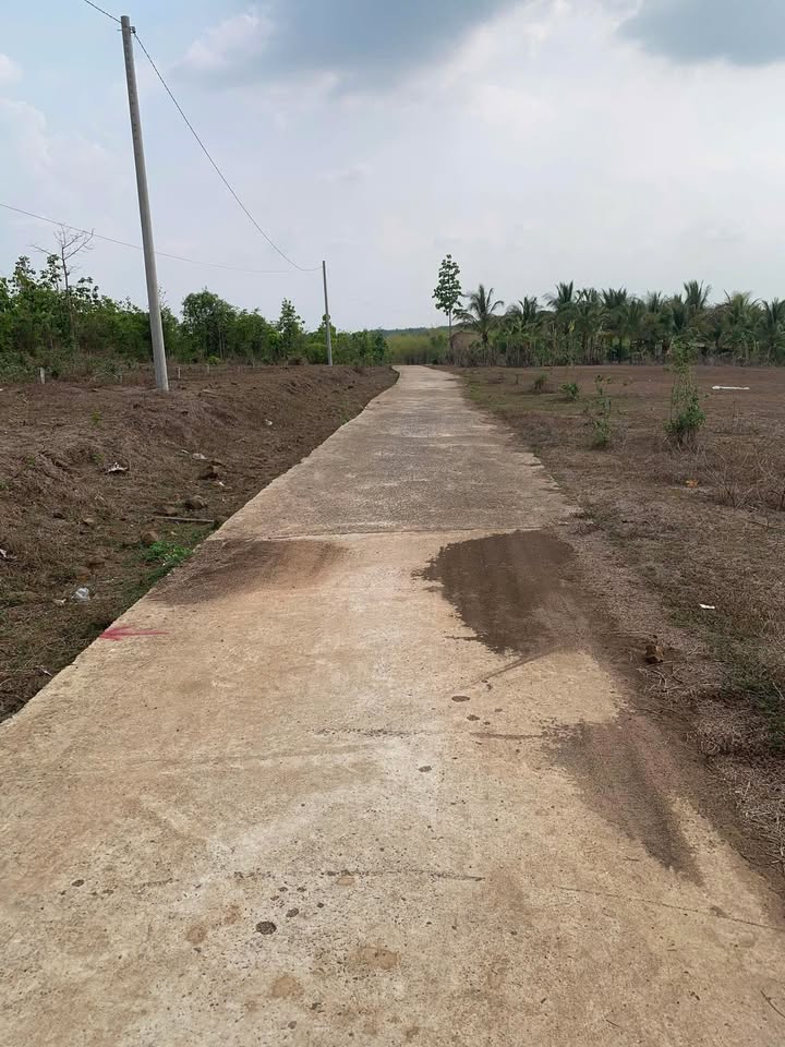 Đất nền 2880m² xã Lộc Hưng, huyện Lộc Ninh - Giá thương lượng hấp dẫn!