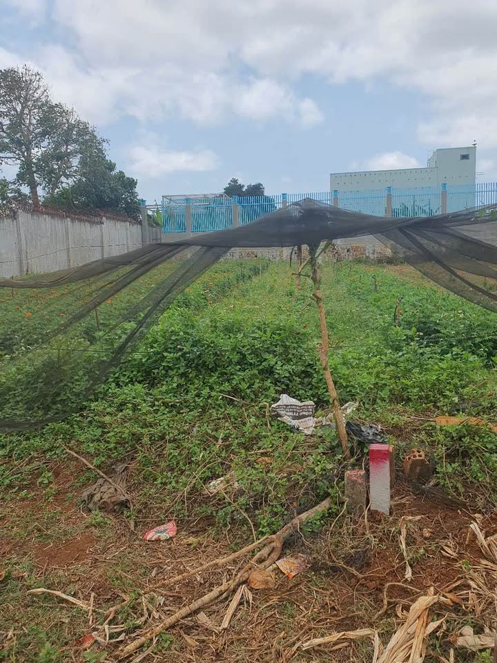 Bán đất hẻm Bùi Viện, An Phú, 130m² - Giá chỉ 450 triệu, Sổ đỏ chính chủ!