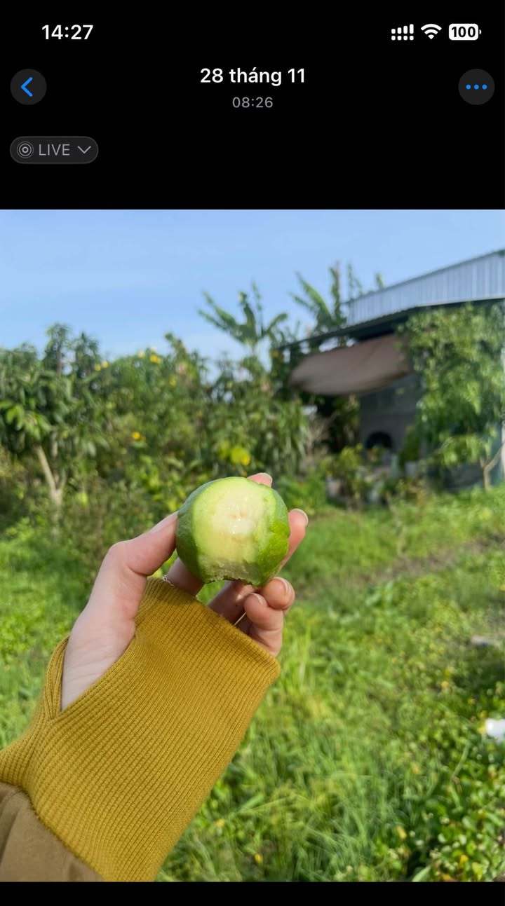 Đất chính chủ Phường Lý Văn Lâm 540m² giá 1.23 tỷ - Tiềm năng phát triển!